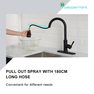 Pull Down Kitchen Sink Faucet Contemporary Matte Black Single Handle Gooseneck Stainless Steel Pull Out Kitchen Faucet with Sprayer Peppermint