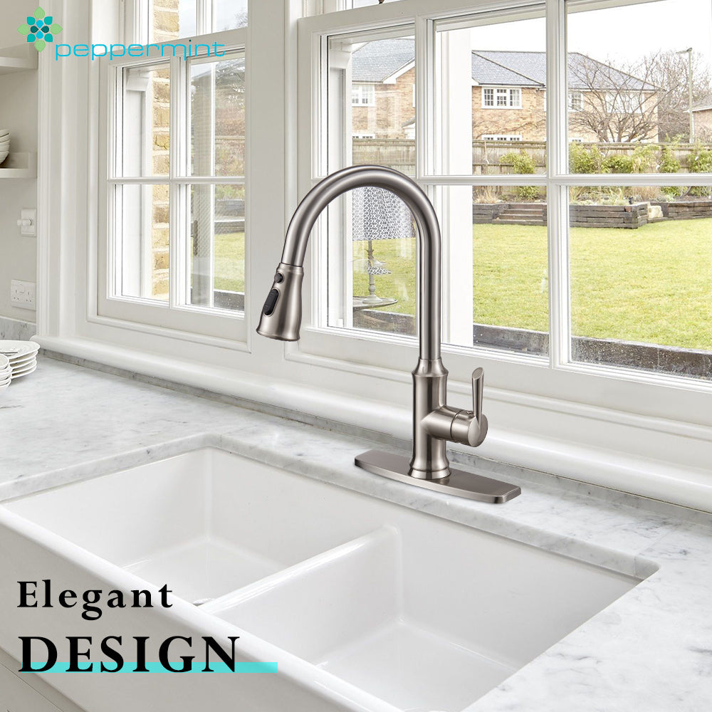 Peppermint Kitchen Faucet Pull Down Commercial Modern Single Hole Sing